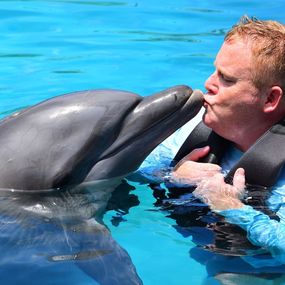 Meet your Posher, Robert